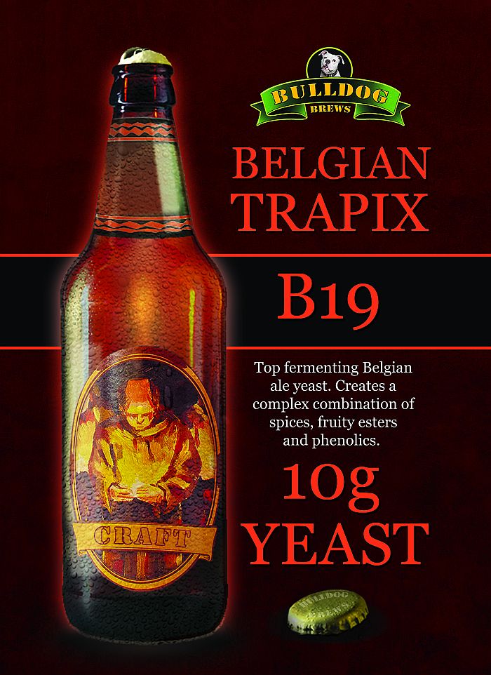 Belgian Trapix beer yeast