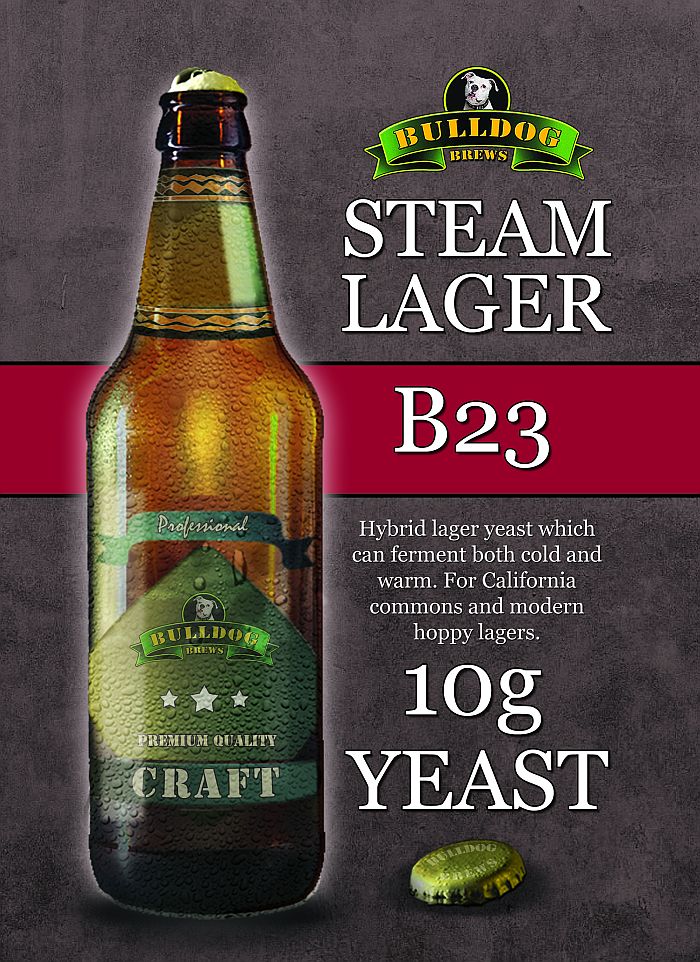 Steam Lager yeast